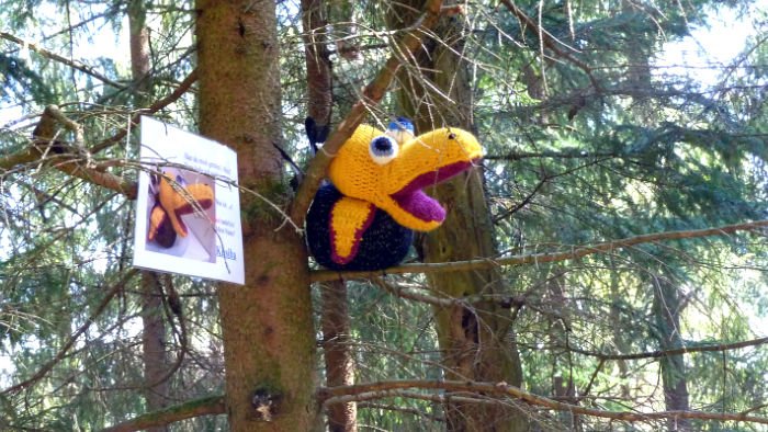 Mit dem MTB über das Bayreuther Haus zu den Schamusis