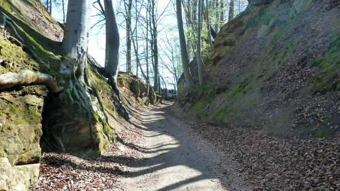 Mit dem MTB von Bayreuth zum Burgstall bei Obernsees