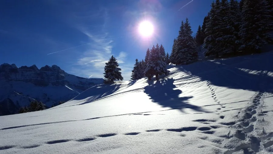 Tourengehen im Rando-Parc von Morgins