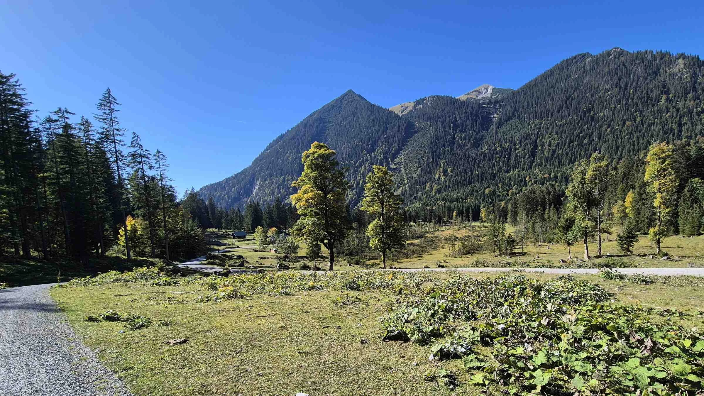 Rotmoosalm auf 1.200 Metern Höhe im Ammergebirge mit Blick auf Scharfeck und Lausbichel