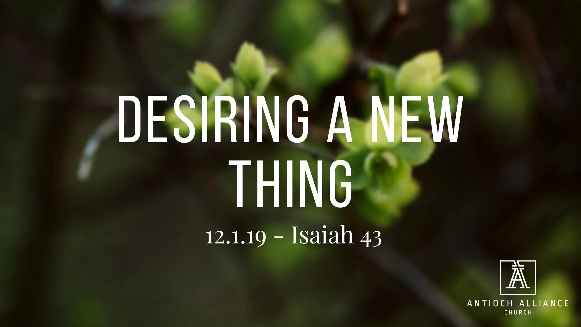 Desiring A New Thing