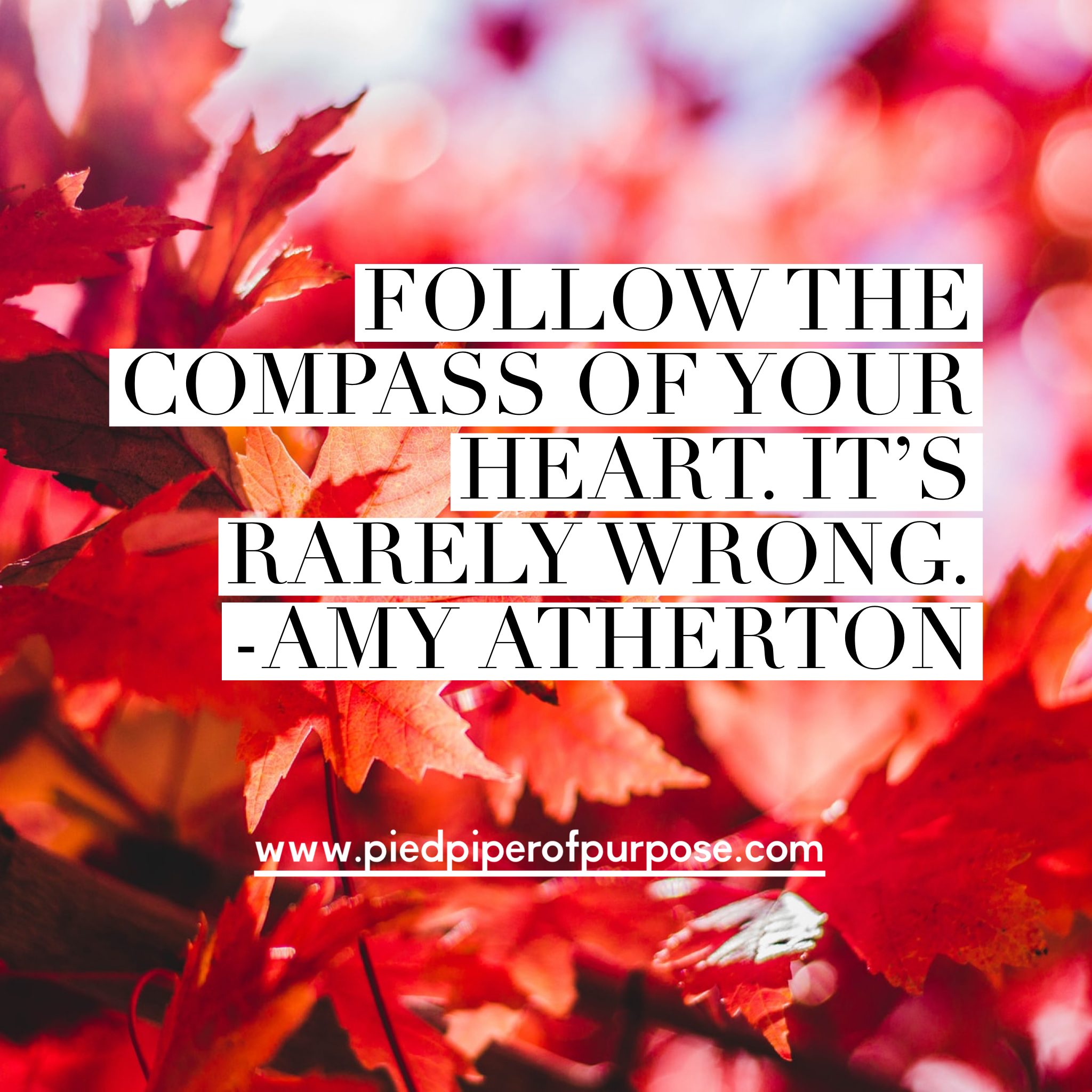 Moving In A New Direction