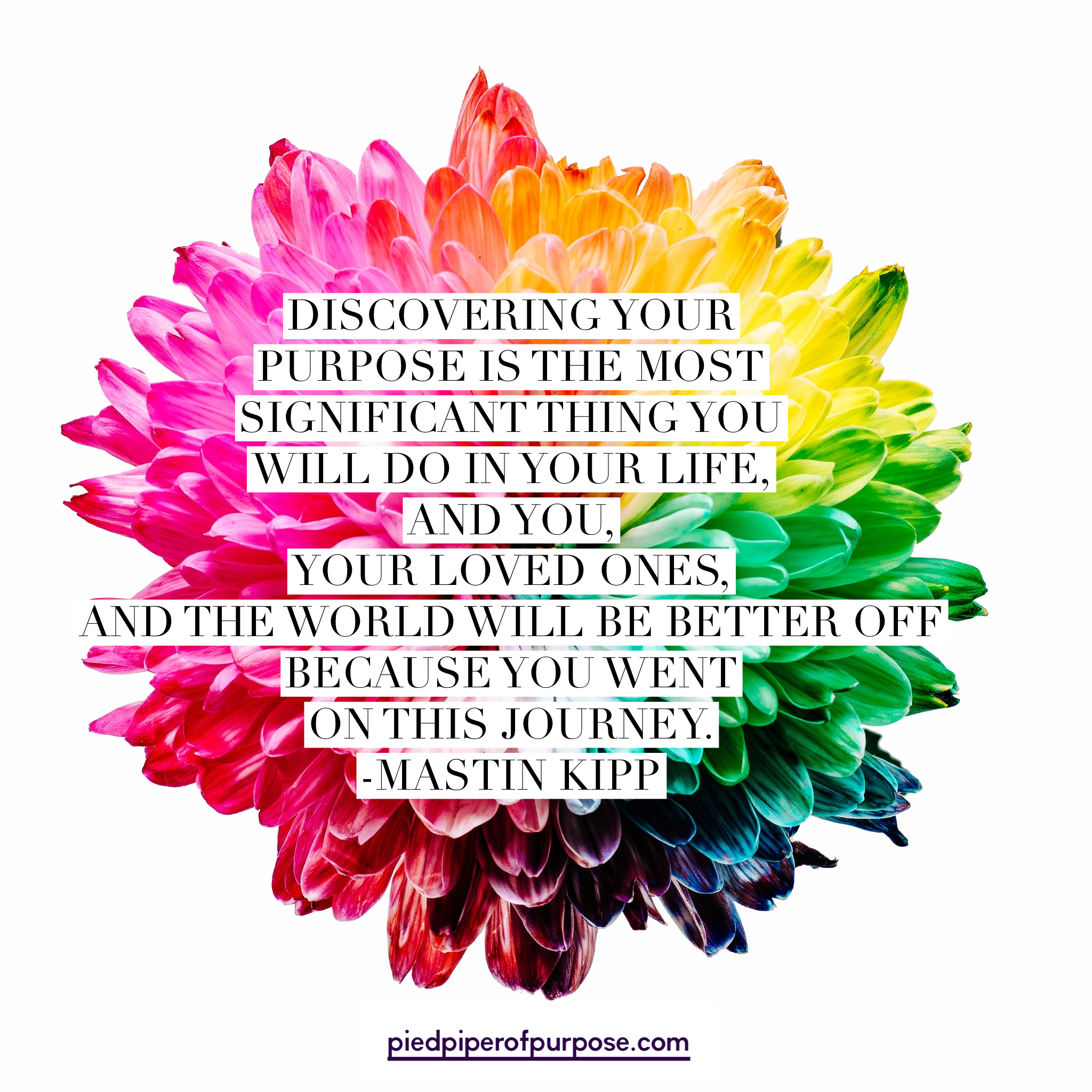 Life Purpose Is Where It's At