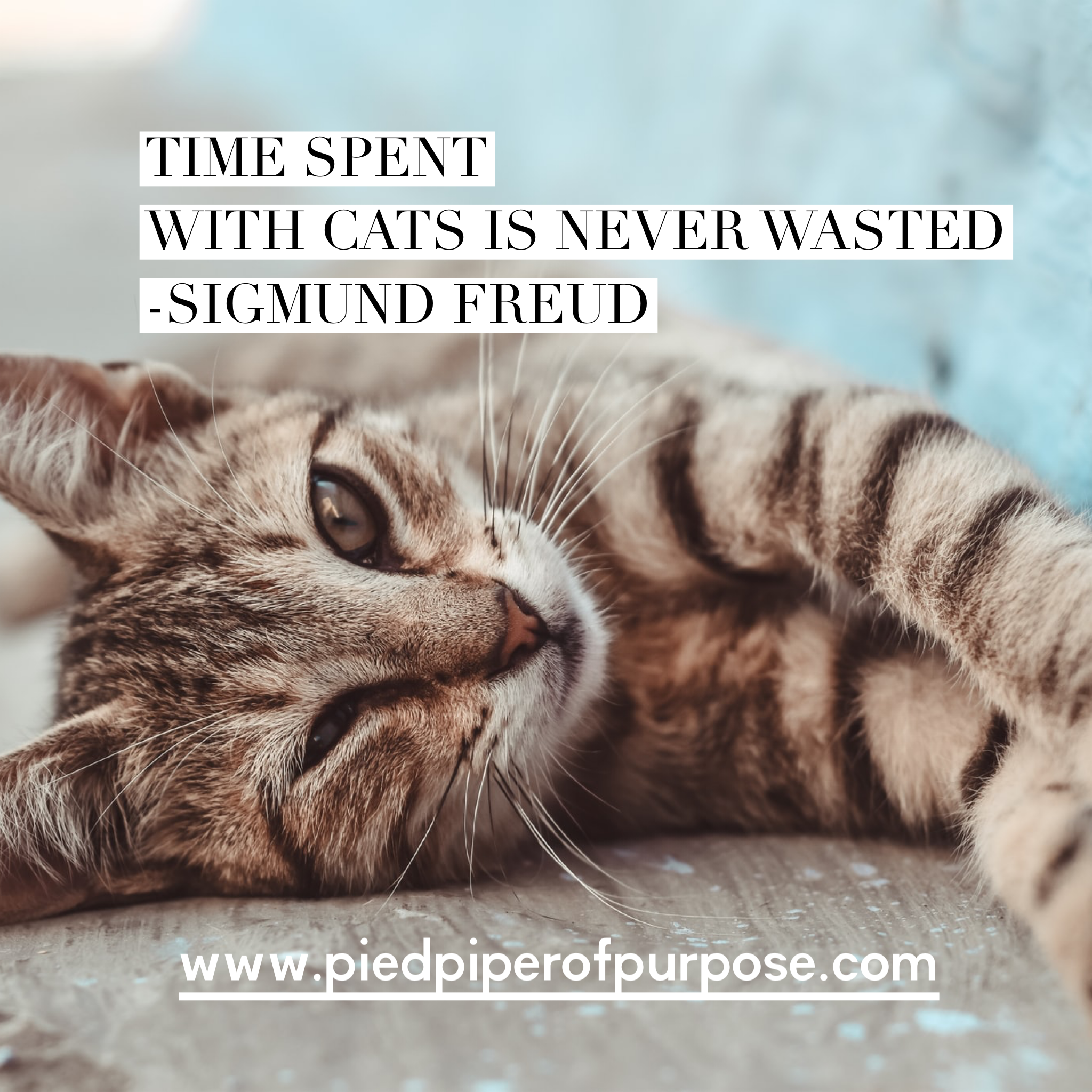 Change Your Perspective