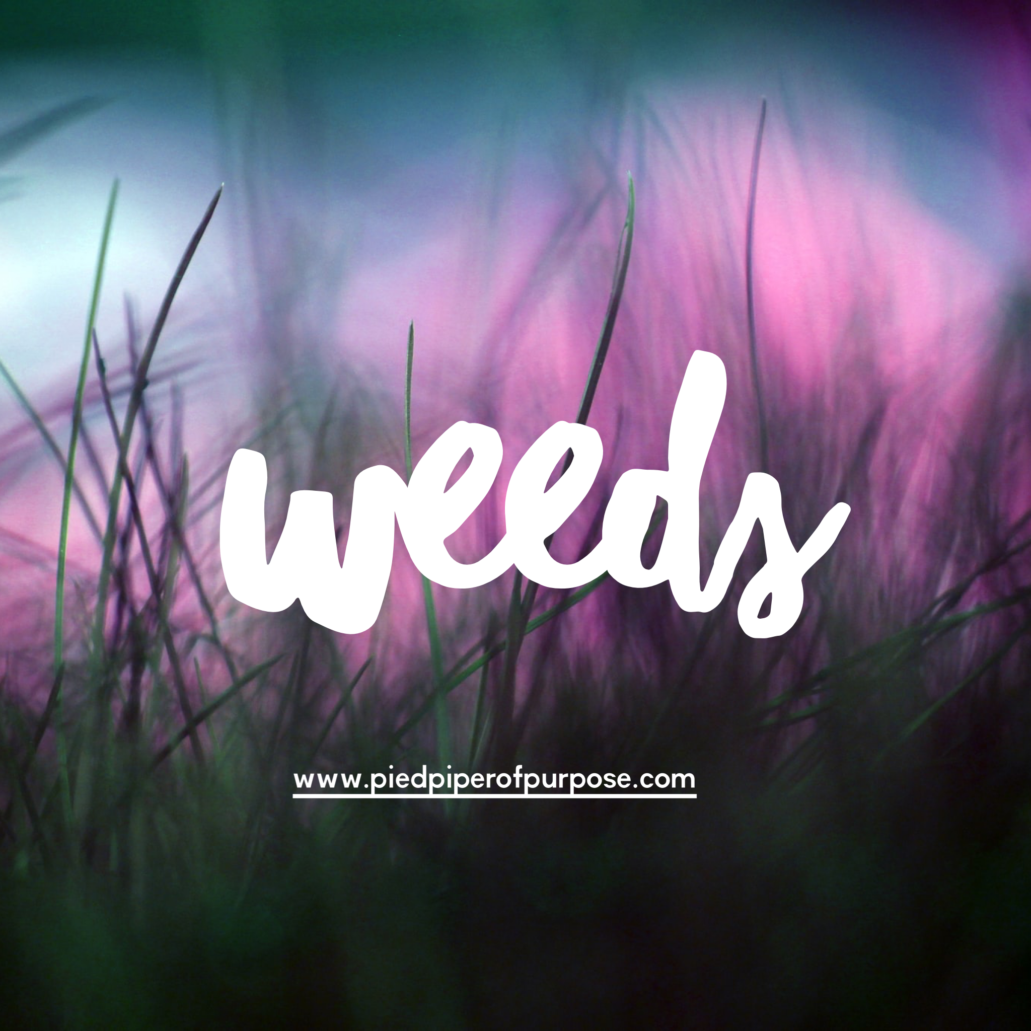 Weeds