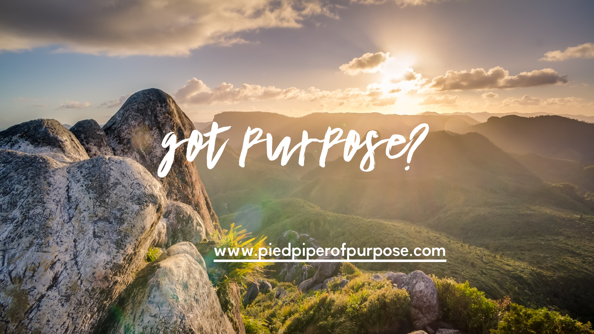 Got Purpose?
