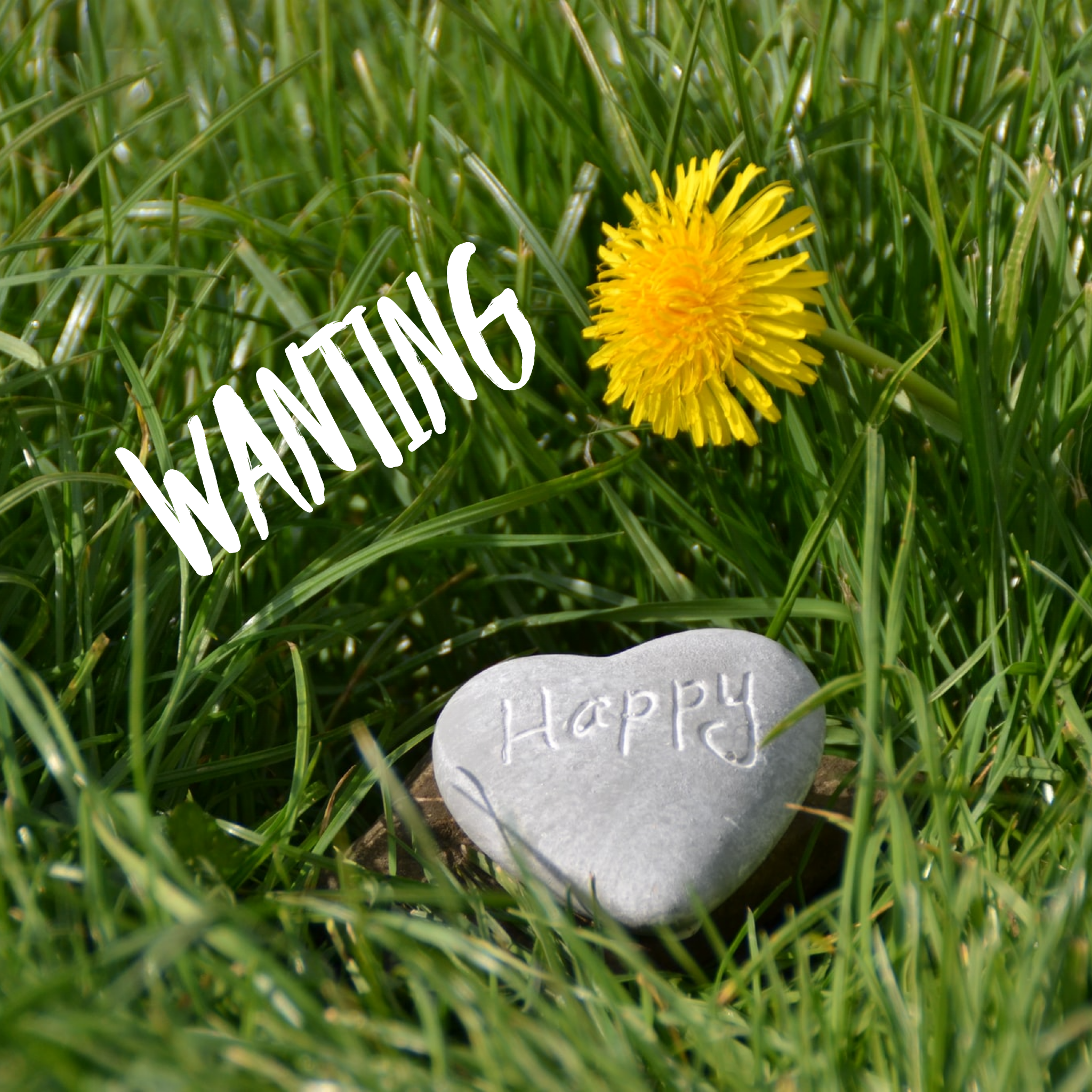 Wanting Is A Very Good Thing