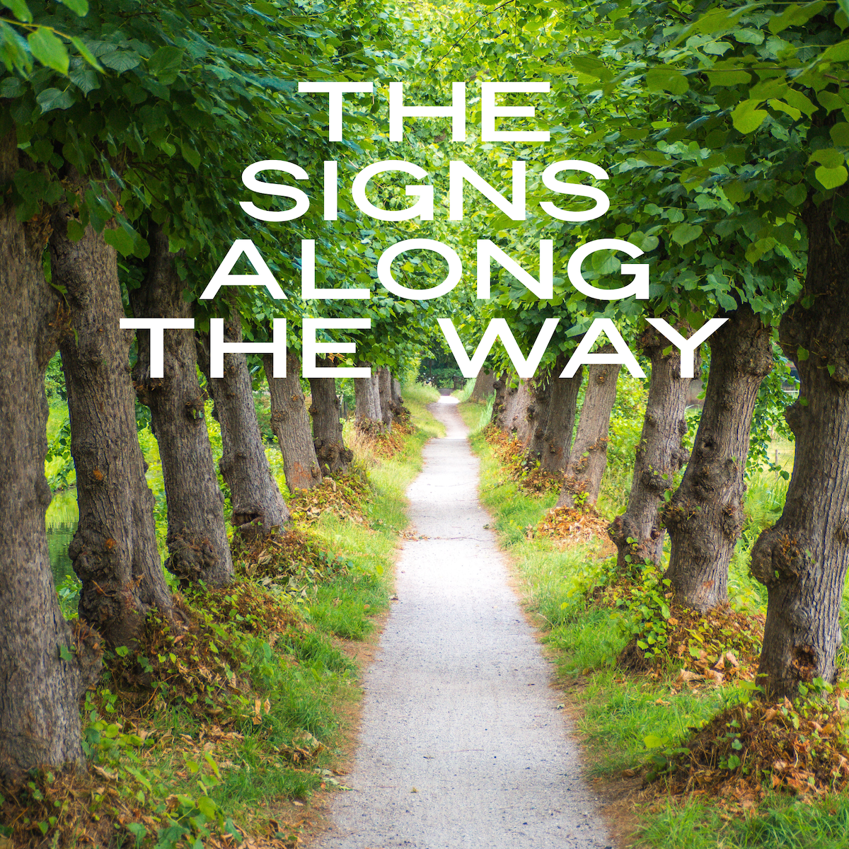 The Signs Along The Way