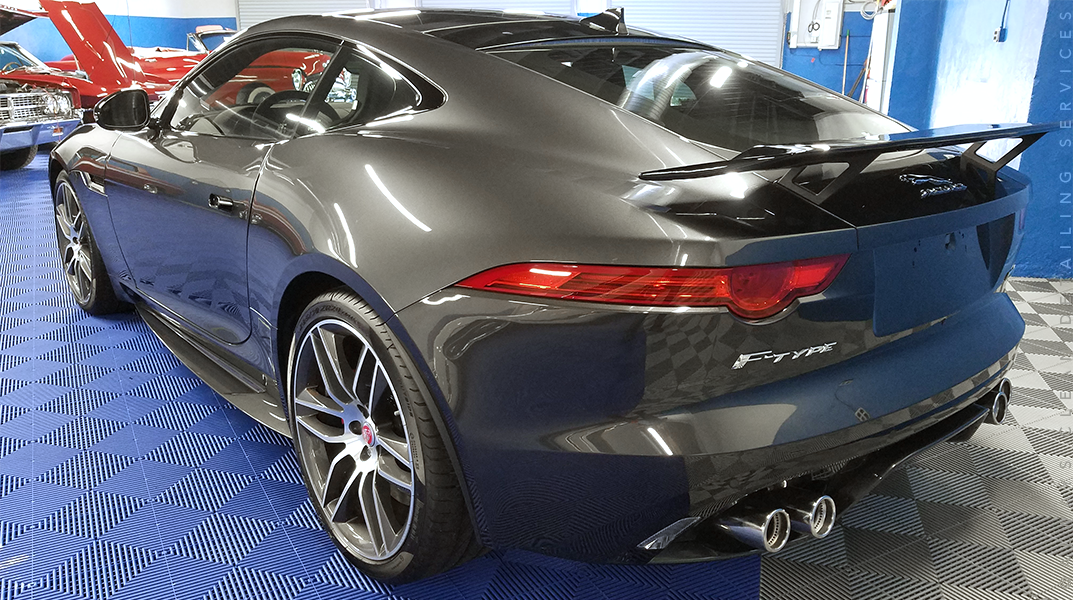 rob-f type_wide.png