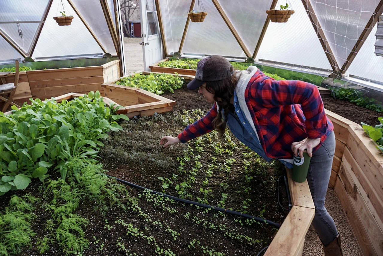 Home greenhouse kit garden dome