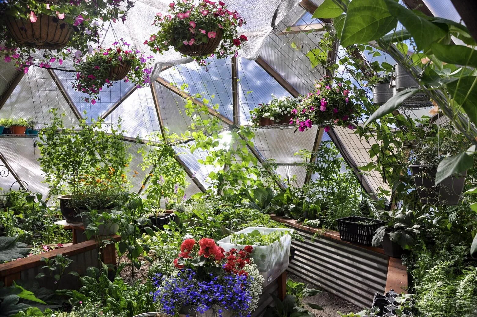 22 Foot Growing Dome Greenhouse Kit — Arctic Acres - Geodesic Growing