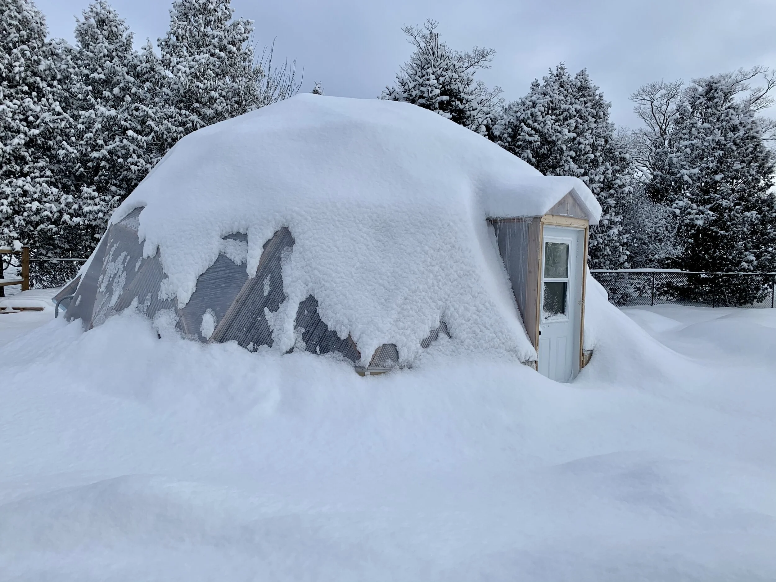Arctic Acres 22 dome Exterior Winter 2020.jpeg