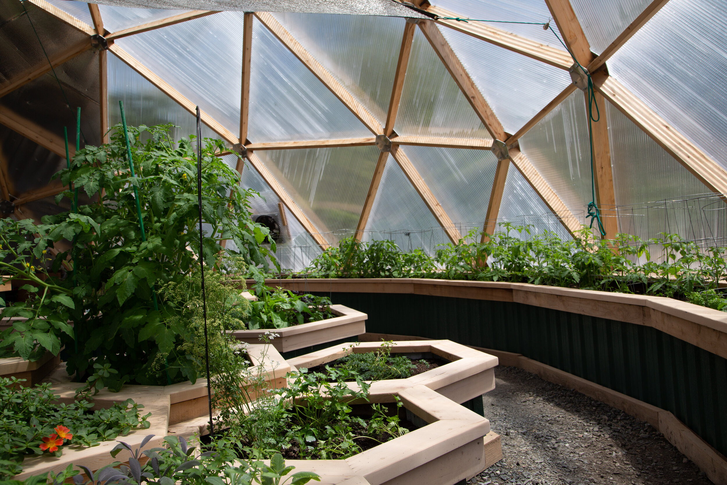 Literatuur Christus stoel 42 Foot Growing Dome Greenhouse Kit — Arctic Acres - Geodesic Growing Dome Greenhouses Literatuur Christus stoel 42 Foot Growing Dome Greenhouse Kit — Arctic Acres - Geodesic Growing Dome Greenhouses