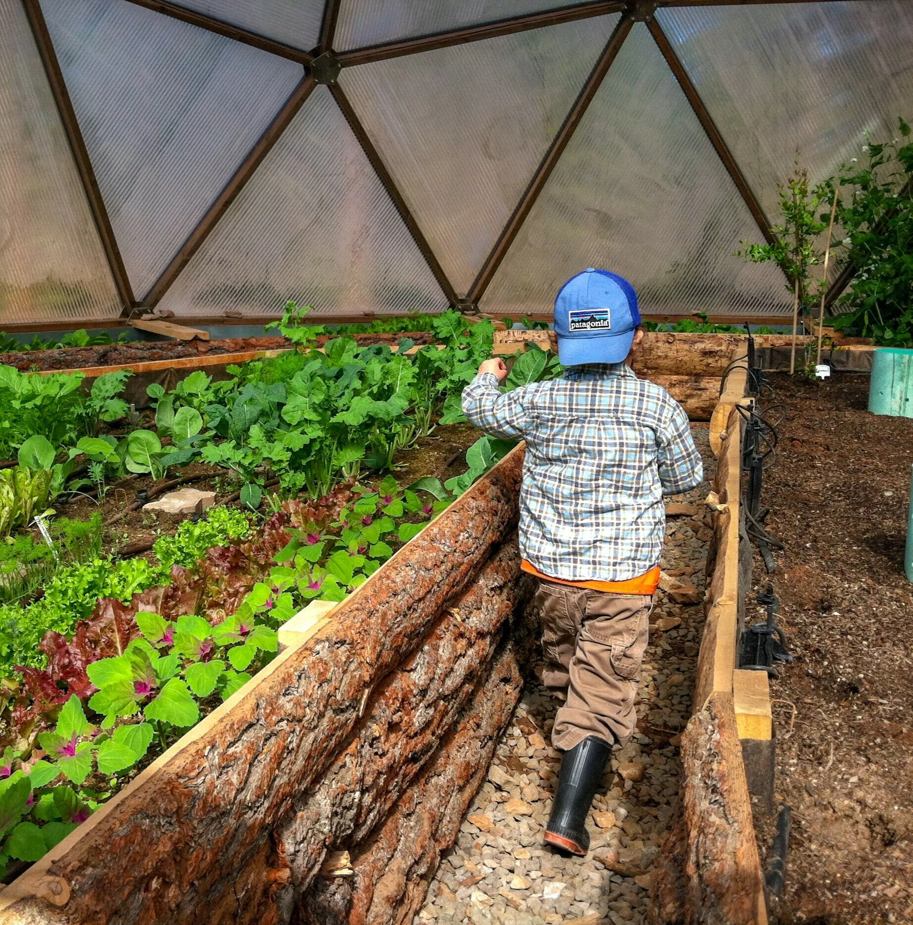 Greenhouse+Growing+Sustainability+Canada.jpg