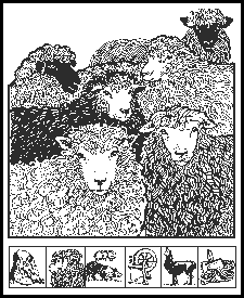 logo_Black_Sheep_Gathering.gif