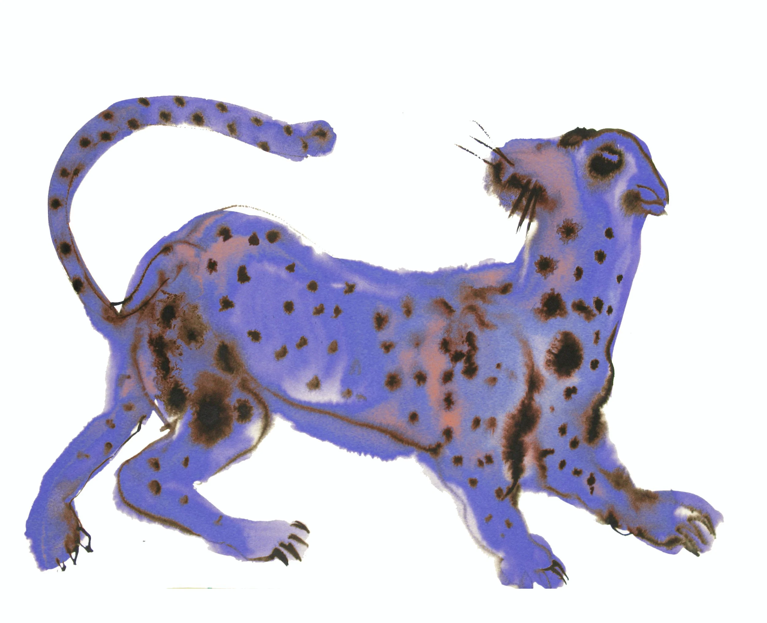 tiger il copy.jpg