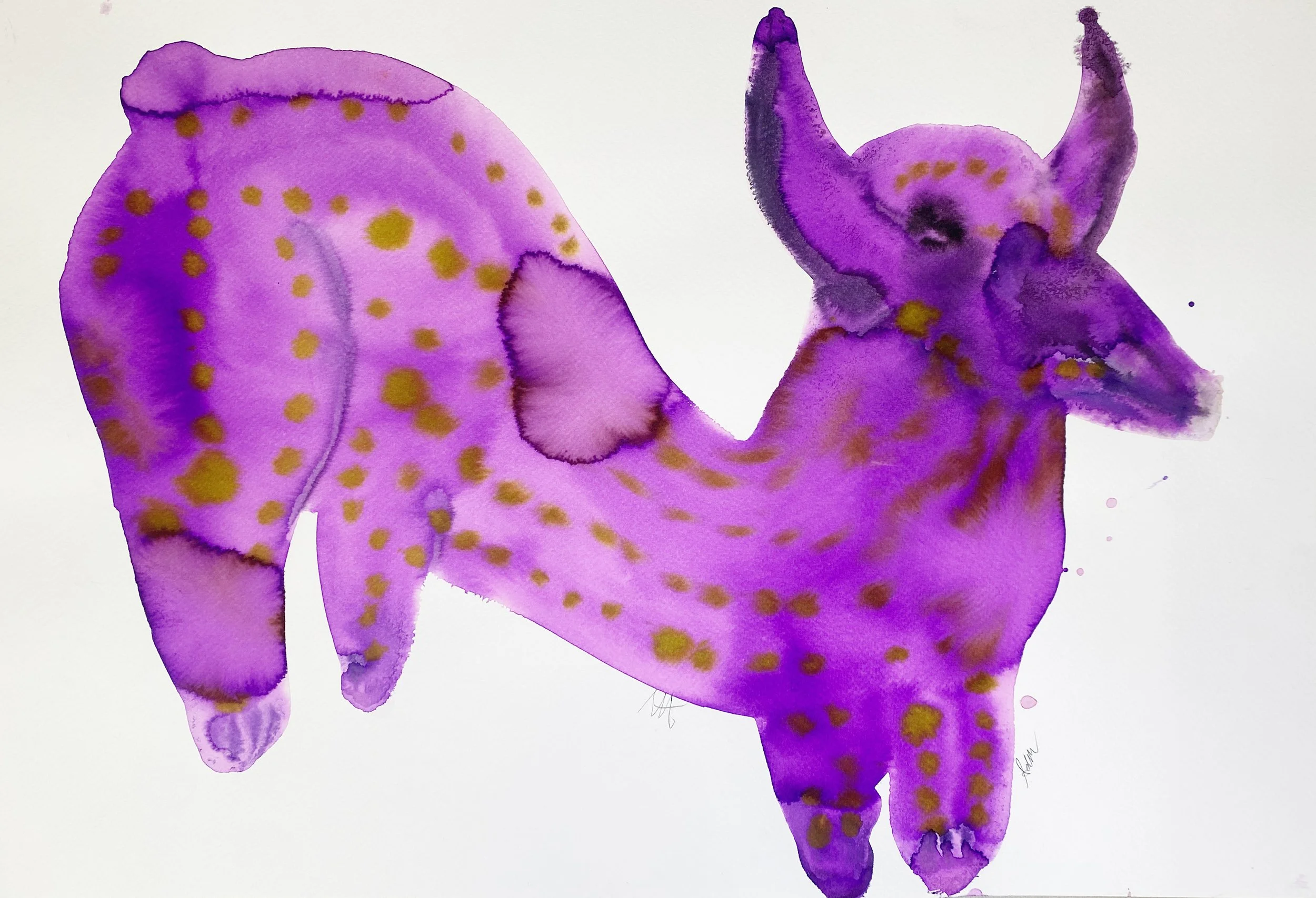 violet spotted pig, 56x38cm, ink on watercolour paper.jpg