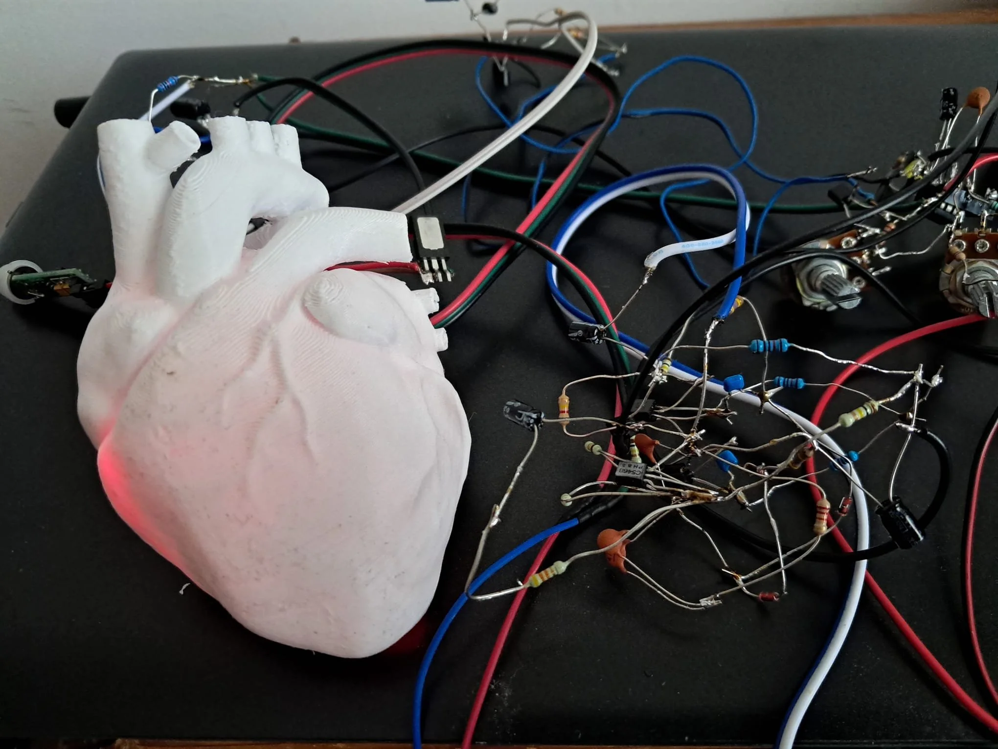 Installation of the heart- in collaboration with prof.Stanislaw Bartkiewicz from Wrocław Politechnika, Poland