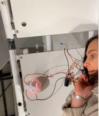 A 3D-printed heart scaled to a child’s body reacts to proximity. The closer the viewer comes, the more rapidly it beats; when the viewer retreats, the heartbeat fades to stillness.