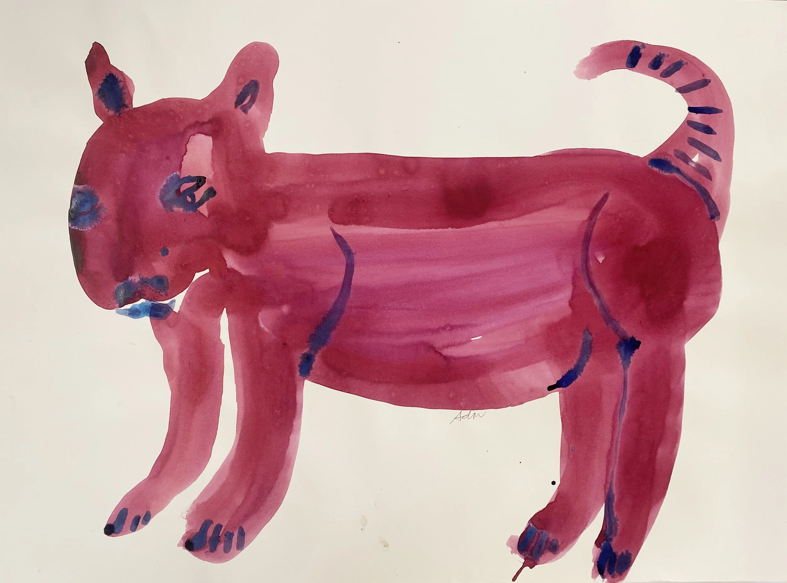 red cat,   59x44cm, ink on watercolour paper.jpg.jpg