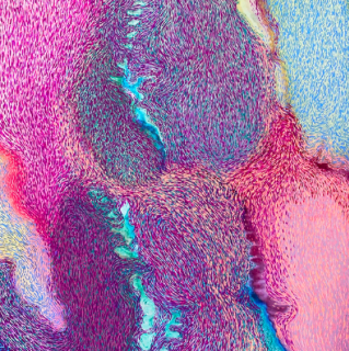 Histology of the Soul-Painting series-2019-22