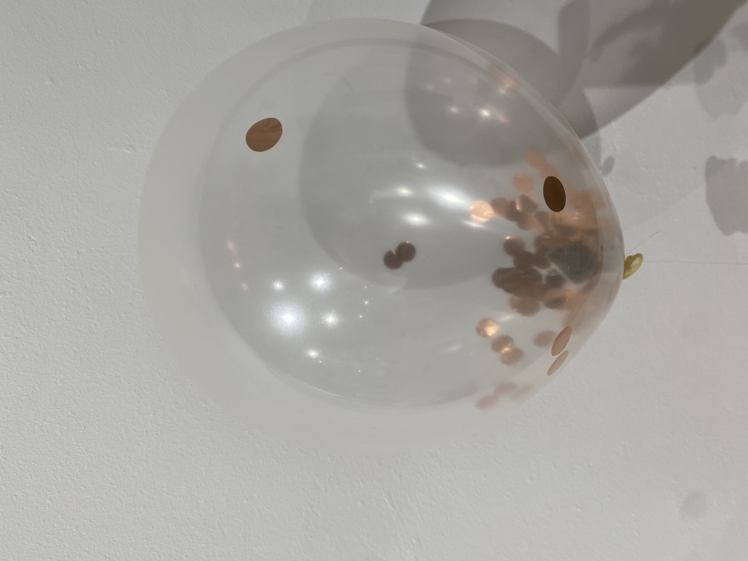 A miniature book sealed inside a balloon, legible only through the act of destruction.