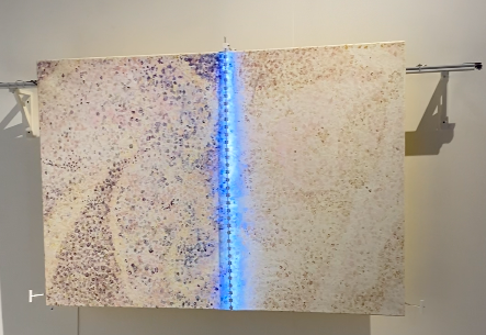 Screenshot 2025-02-14 at 22.21.19.png