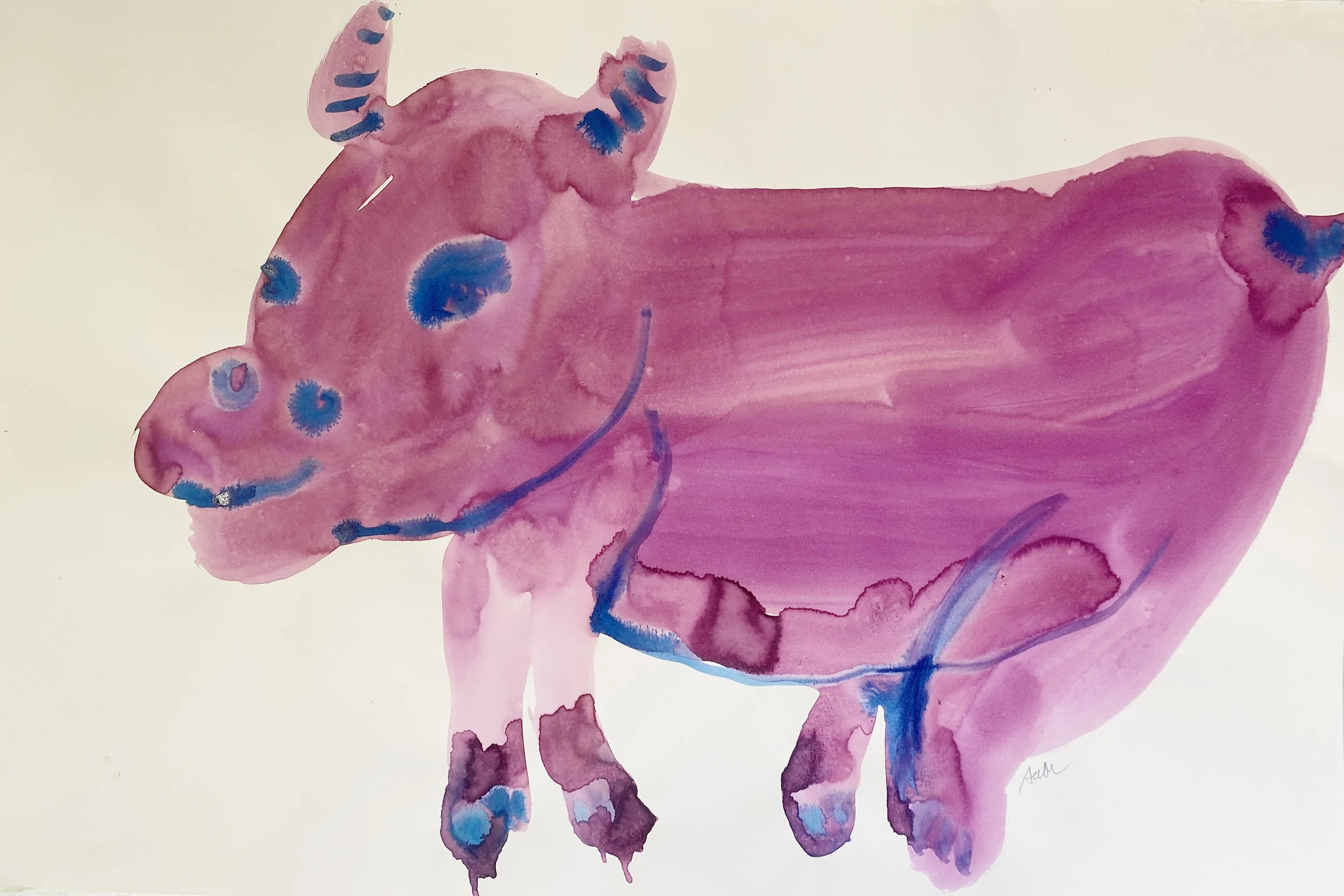 red pig, 59x40cm, ink on watercolour paper..jpg