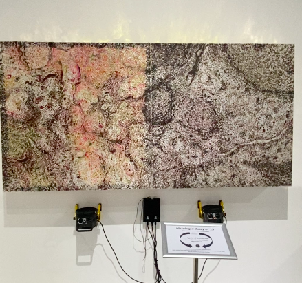 Screenshot 2025-02-14 at 22.19.34.png