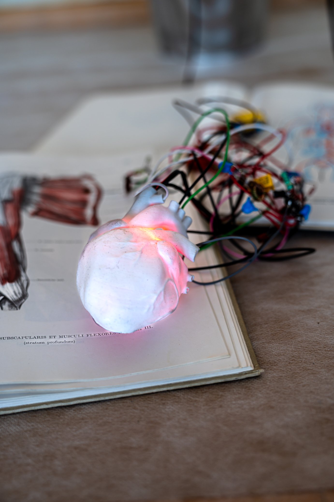 to, SZCZELINY. 7 SZWÓW.M.CYDZIK-93.jpg