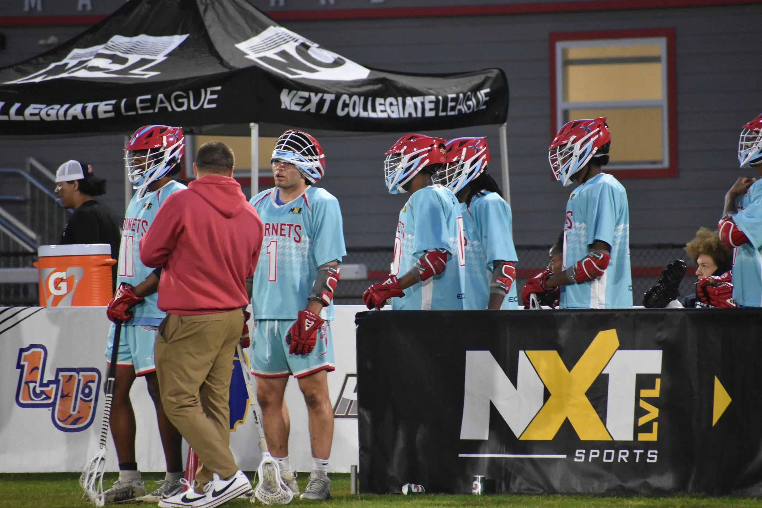 NCL Inaugural Season: Bench View