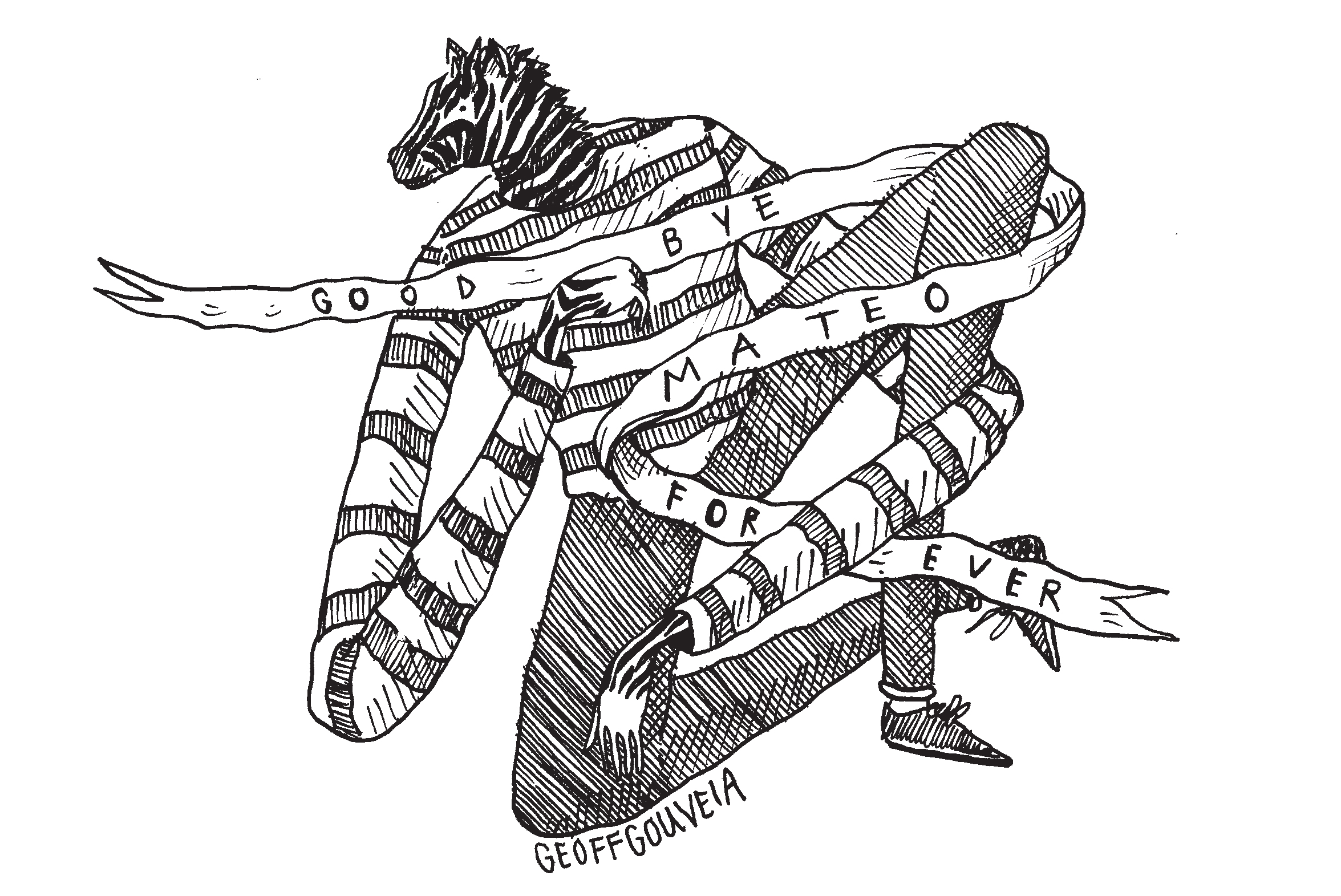 Goodbye Mateo Forever  (2016)