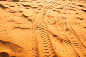 track-300x199-1.png