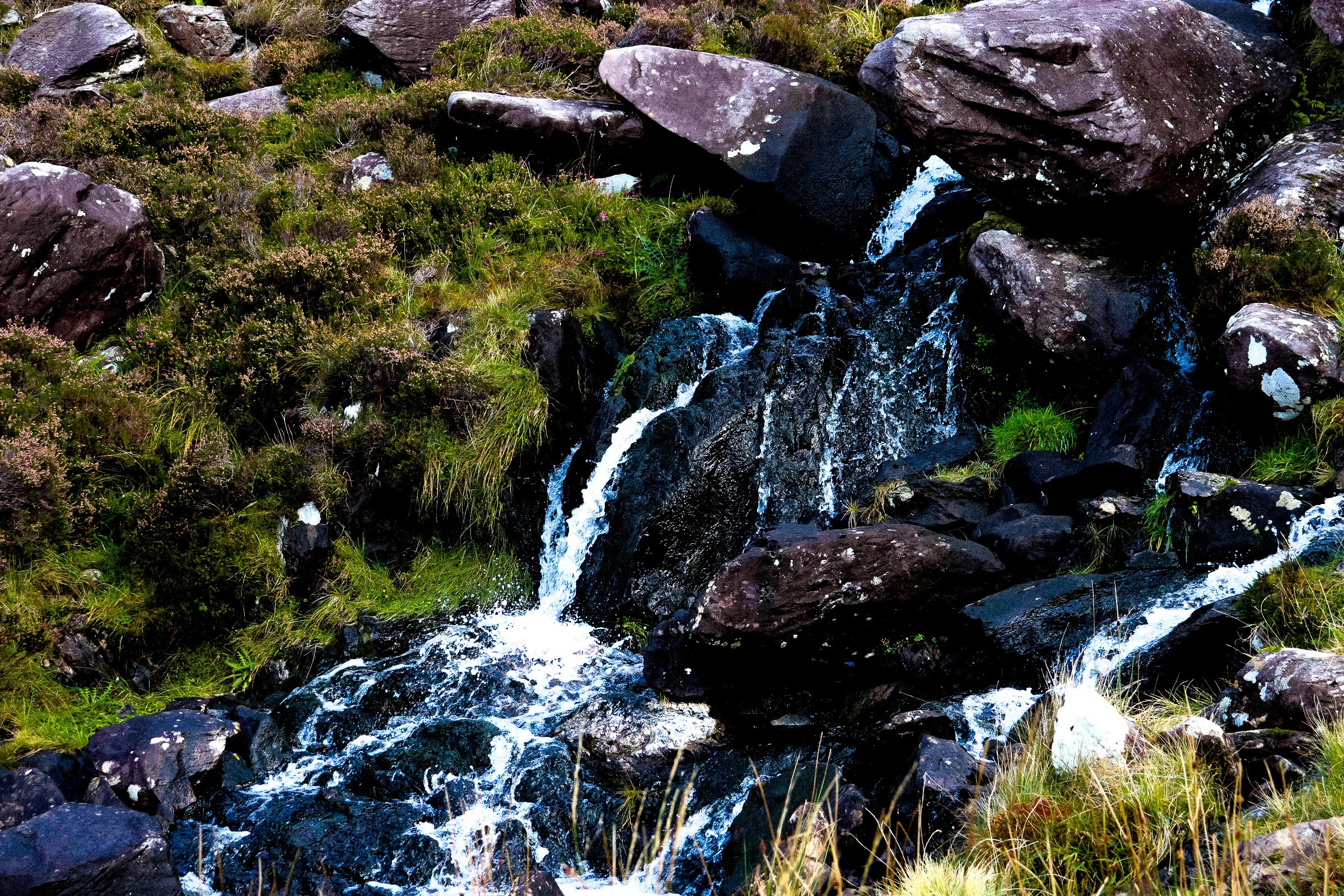 ireland.