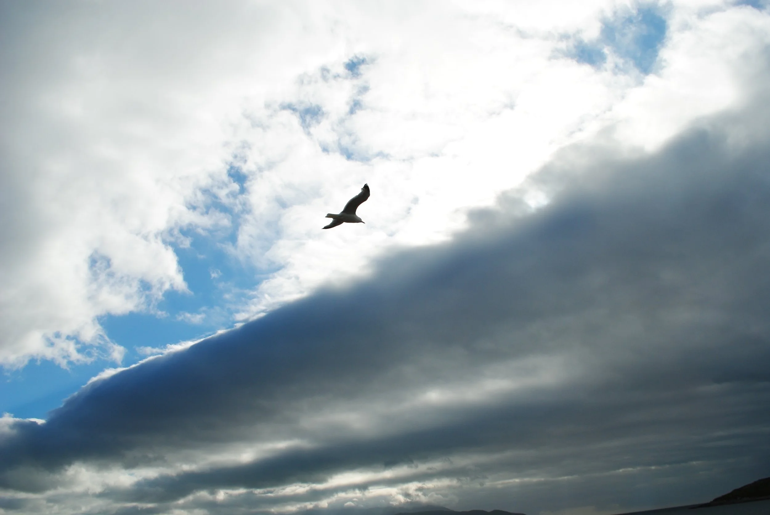 DSC_0076.jpg