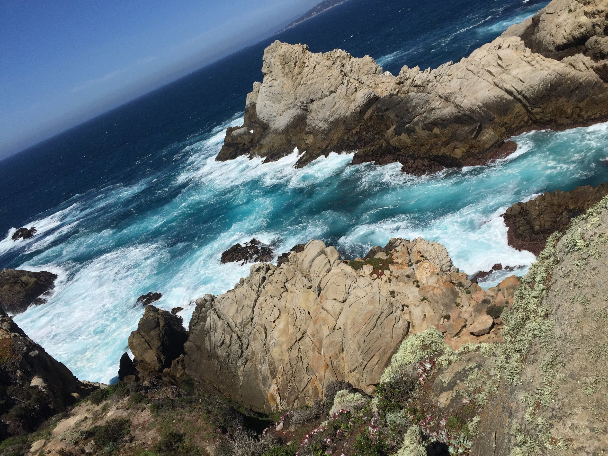 monterey.