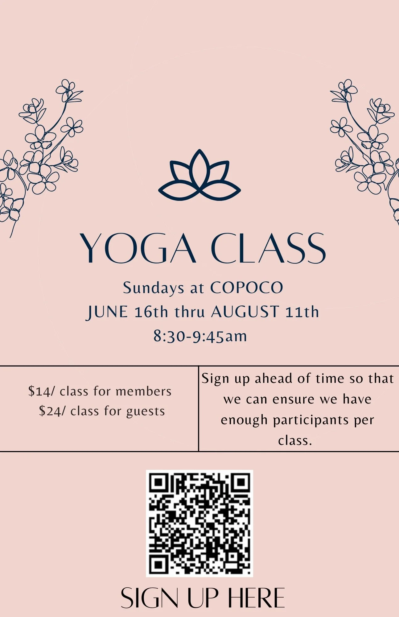 Outdoor Flow Yoga