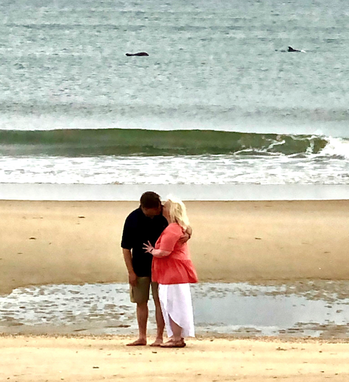 Rev. Jay Bowman . Outer Banks Wedding Officiant . dolphin .png