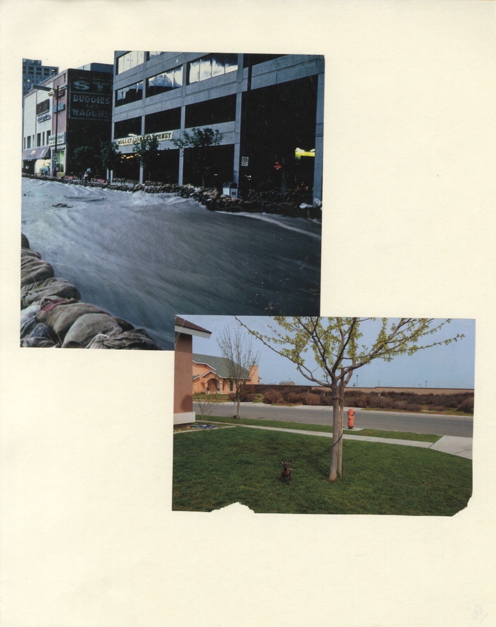 22 DreamCollage 18.jpg