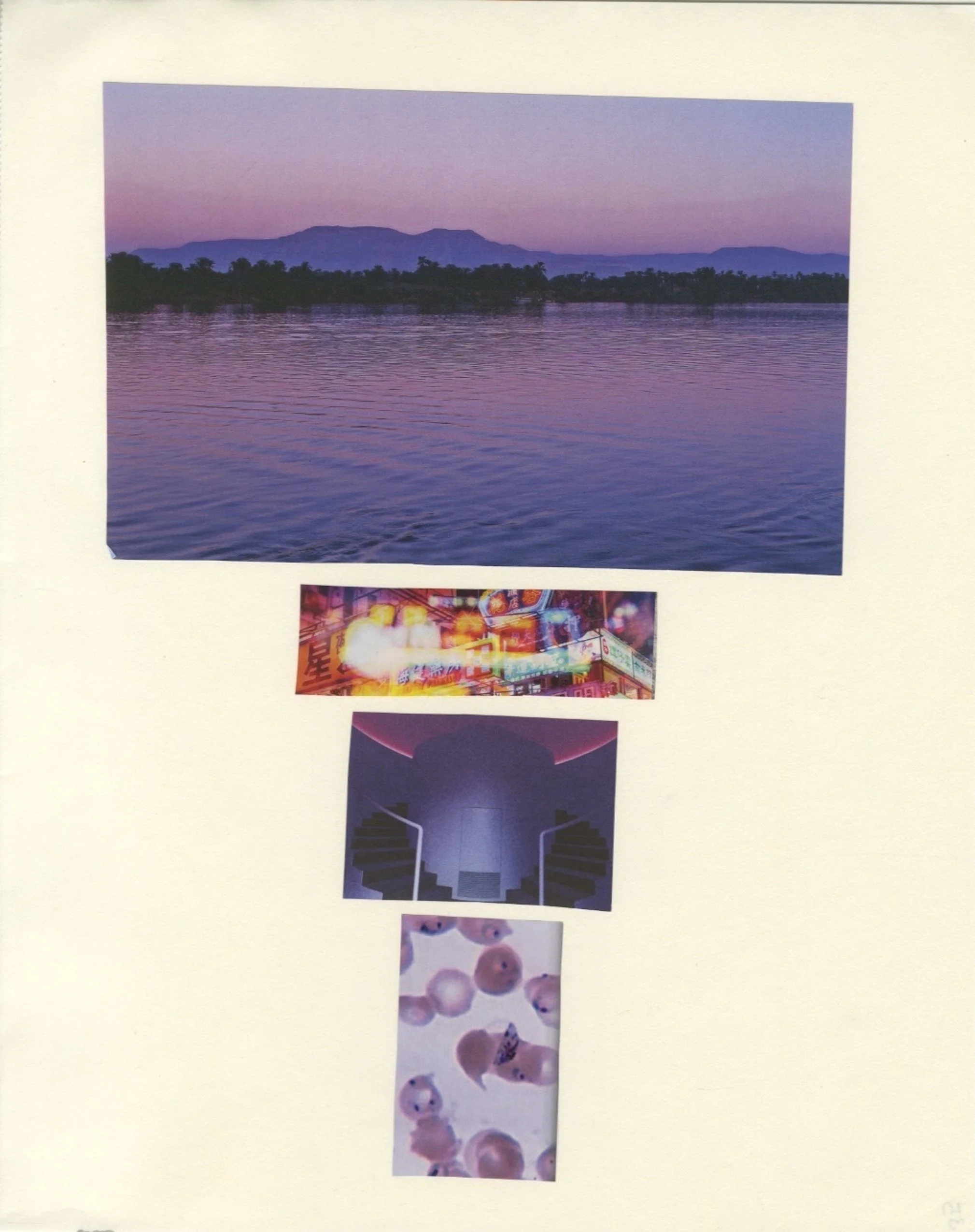 39 DreamCollage 35.jpg