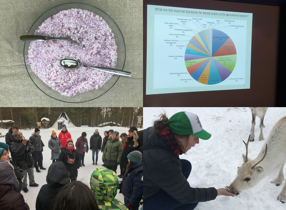 Photos from the 10th Circumpolar Agriculture Conference in Lapland, Finland. Clockwise from top left: a bowl of sea salt colored with crow berries at a food business incubator, results of a study on boreal/arctic agriculture research needs (Unc et al., 2019), Co-Director Rachael Miller feeds a reindeer, and a reindeer farm owner talks about the industry with visitors.