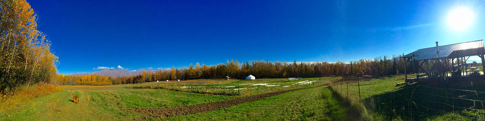 APU’s Kellog Spring Creek Farm Campus