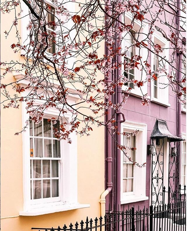our Sakura season essentials-- cherry blossoms and all-shades-of-pink pads 🌸🏩🌸⁠
📸 : @ritaharfifinds⁠
.⁠
.⁠
.⁠
.⁠
.⁠
#theponiroom #merponi #underthesea #architecture #inspiration #designinspo #design #interiordesign #interior #travel #architect #i