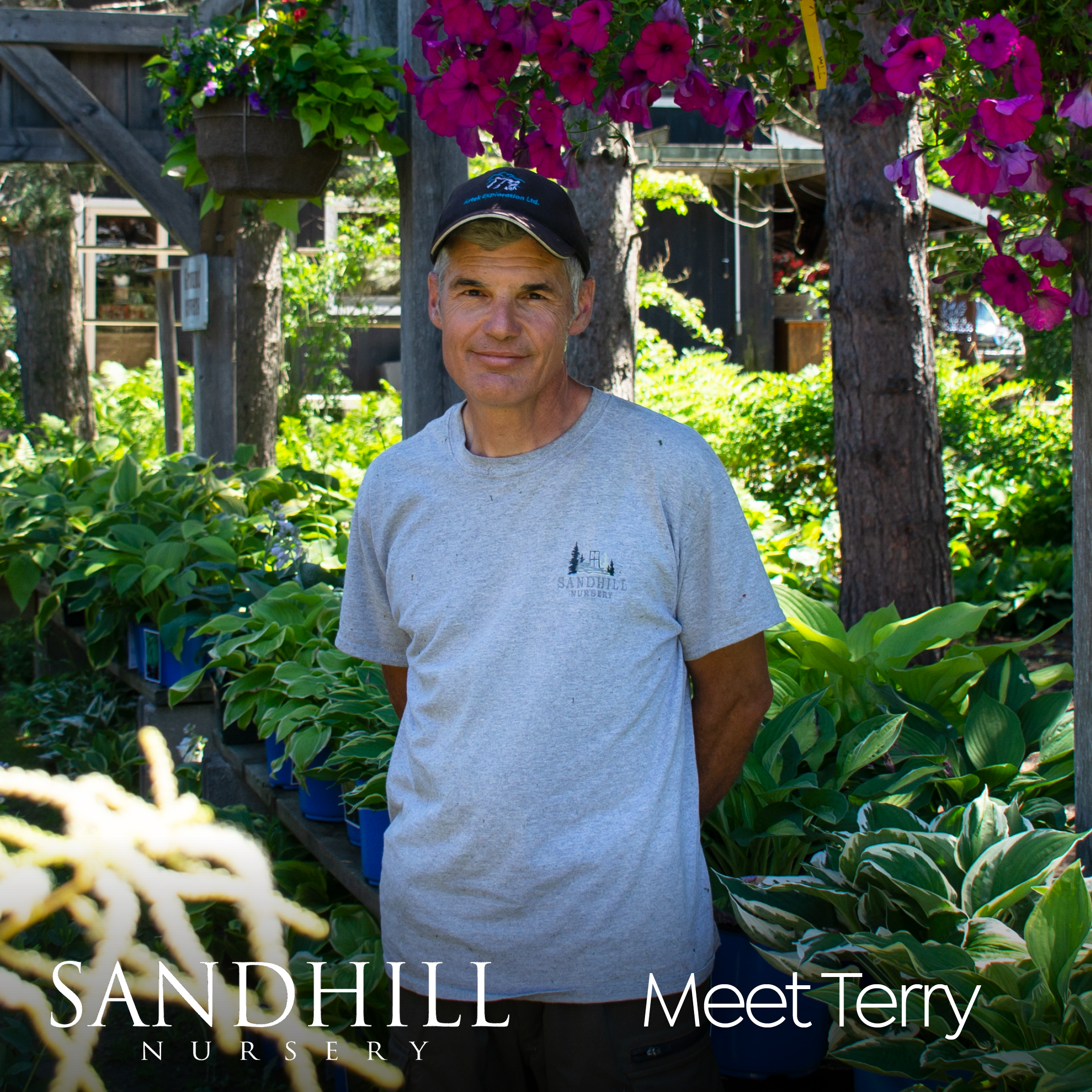 Another familiar and friendly Sandhill face! Terry is a firm believer that all Muskoka gardens can be impressive. Choose the right plants and they will flourish in our sometimes tricky soil and weather conditions. It just takes a little expertise. And Terry would know, he has 90 acres of his own green space!