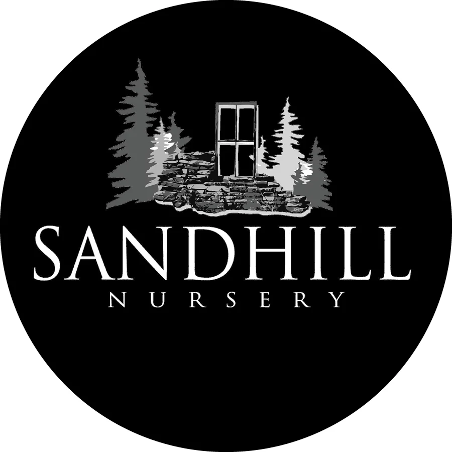 SANDHILL_INSTAPROFILE.jpg