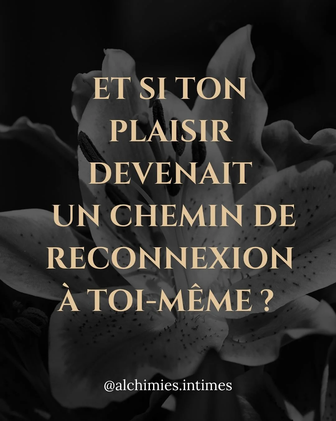 Et si ton plaisir devenait un chemin de reconnexion &agrave; toi-m&ecirc;me ?

Le plaisir n&rsquo;est pas seulement une recherche de pic de sensations.

C&rsquo;est un espace de soin, de pr&eacute;sence, d&rsquo;&eacute;coute et de transformation.

&