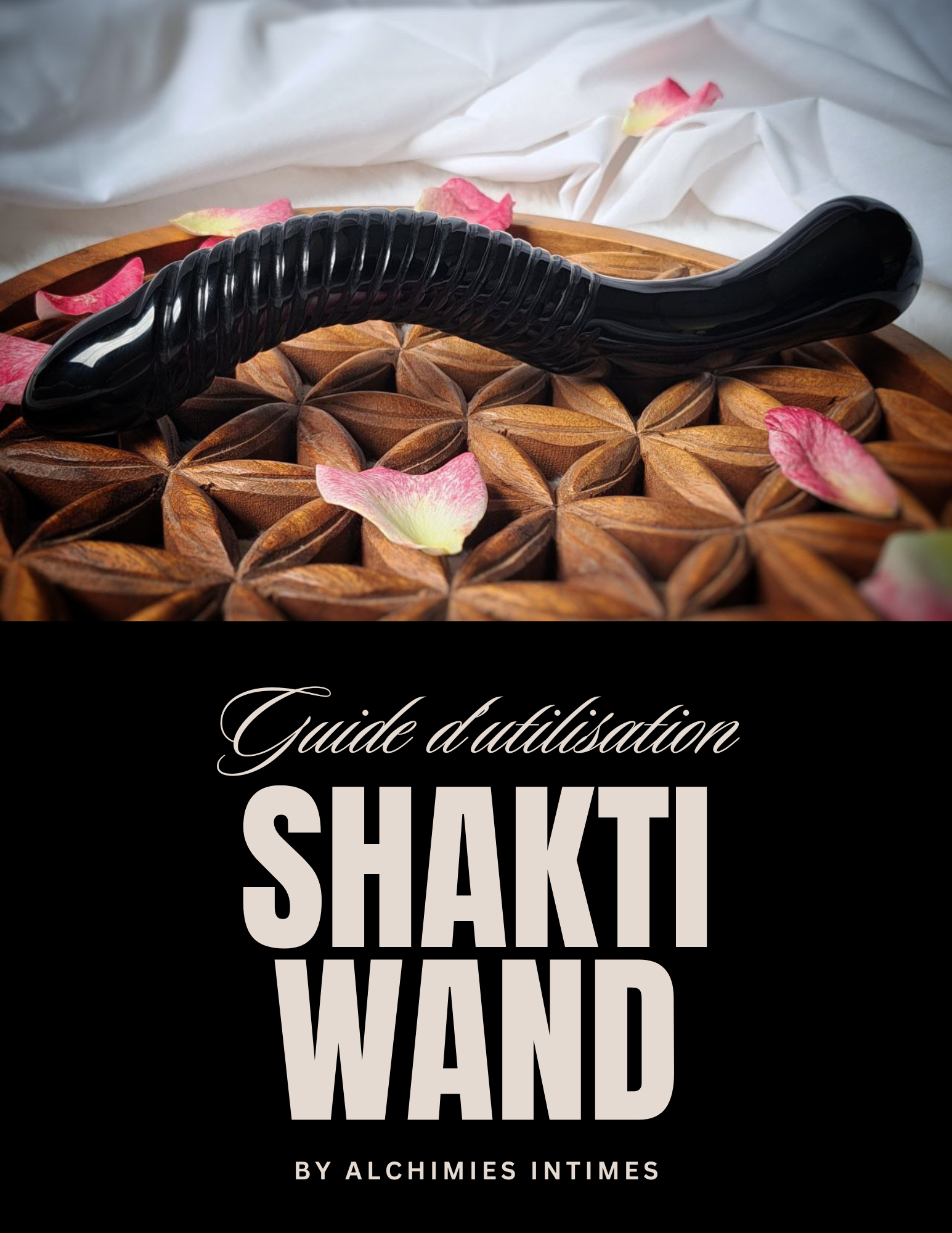 Guide Shakti Wand en cristal.png
