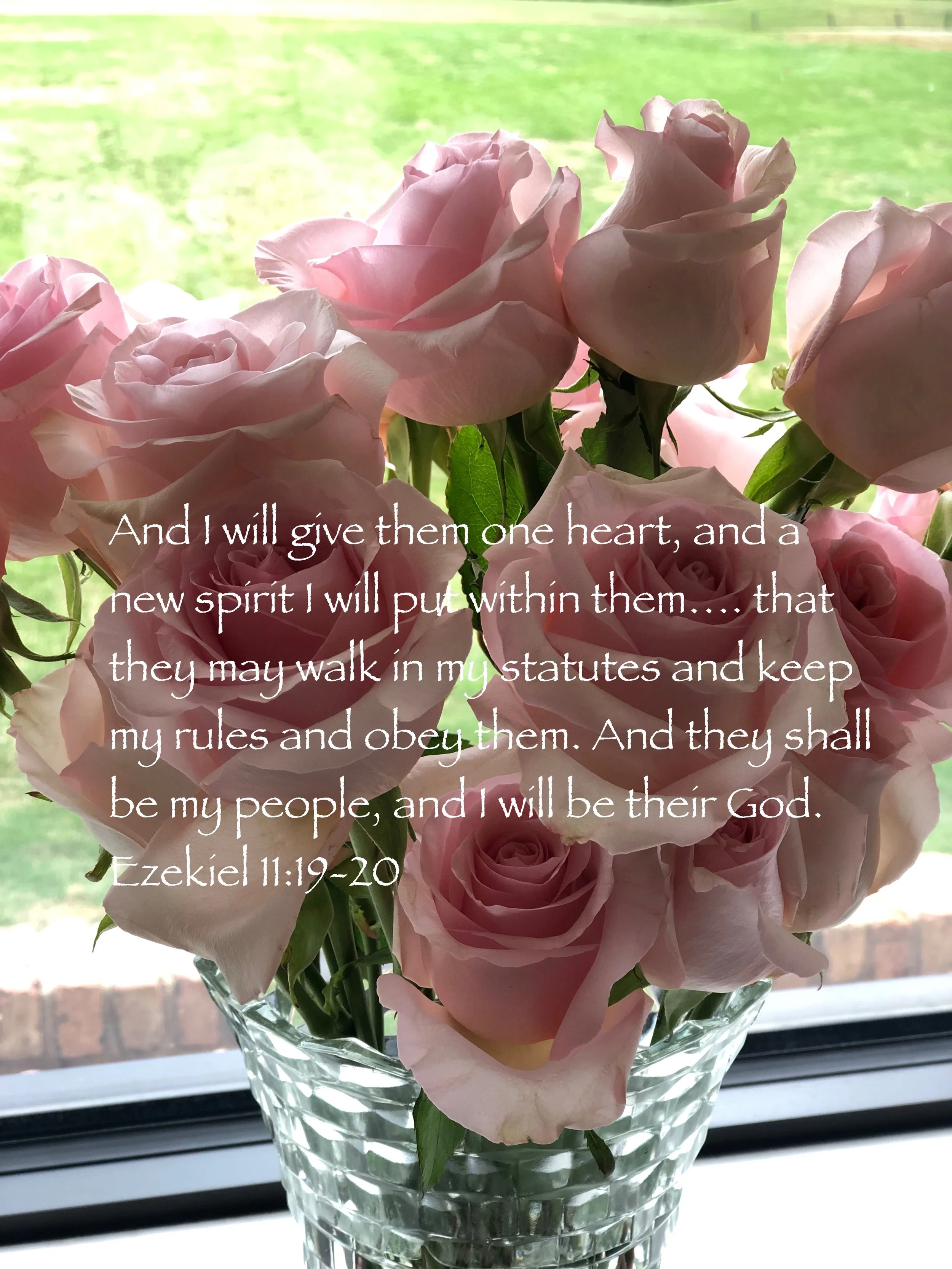God's Promise of Relationship