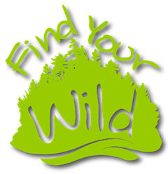 Find Your Wild