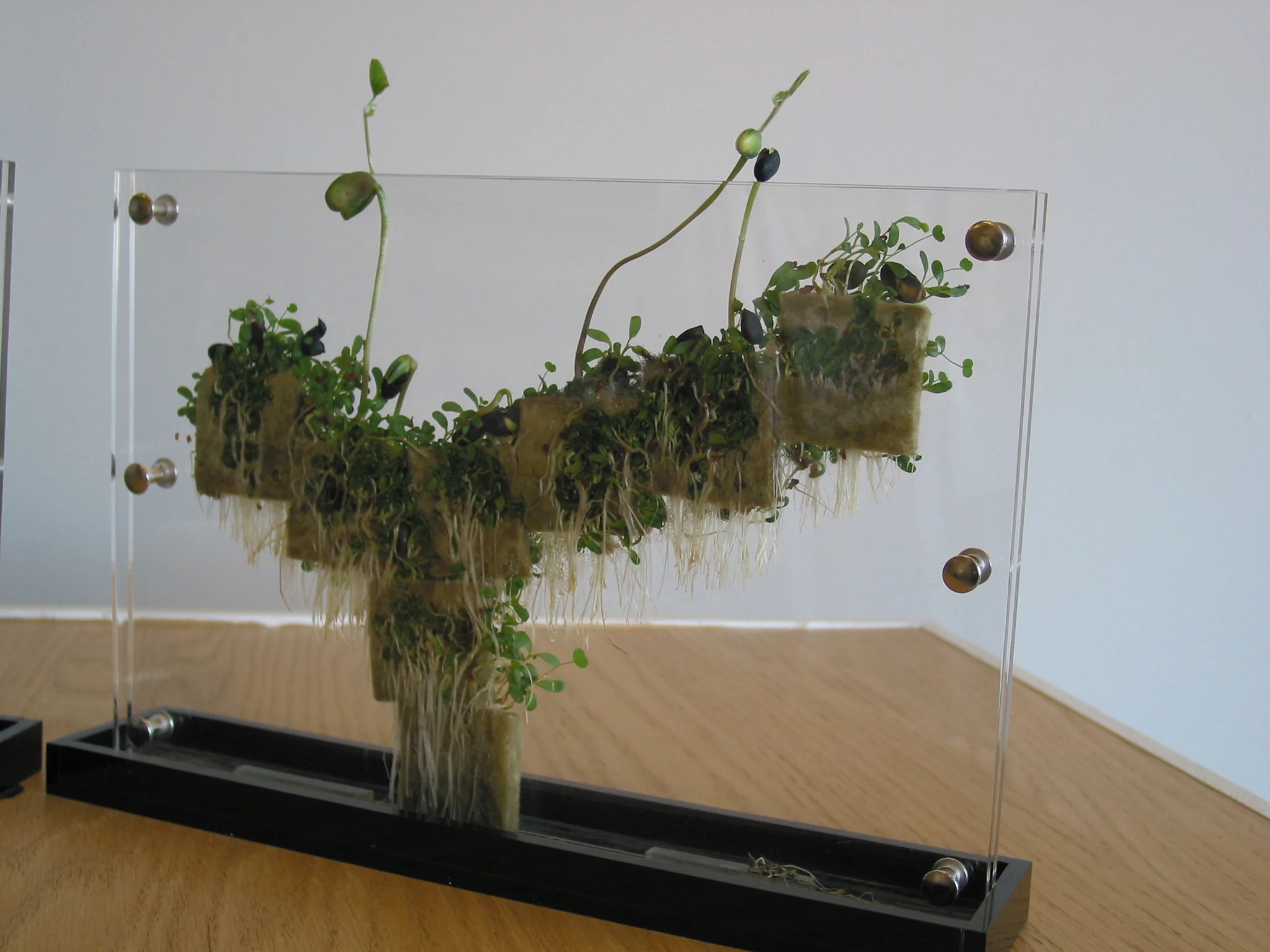 Ant Farm, 2001